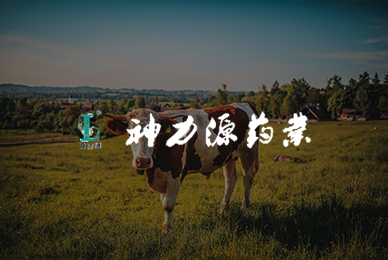 30神力源動物藥業(yè)集團(tuán) 拷貝.jpg